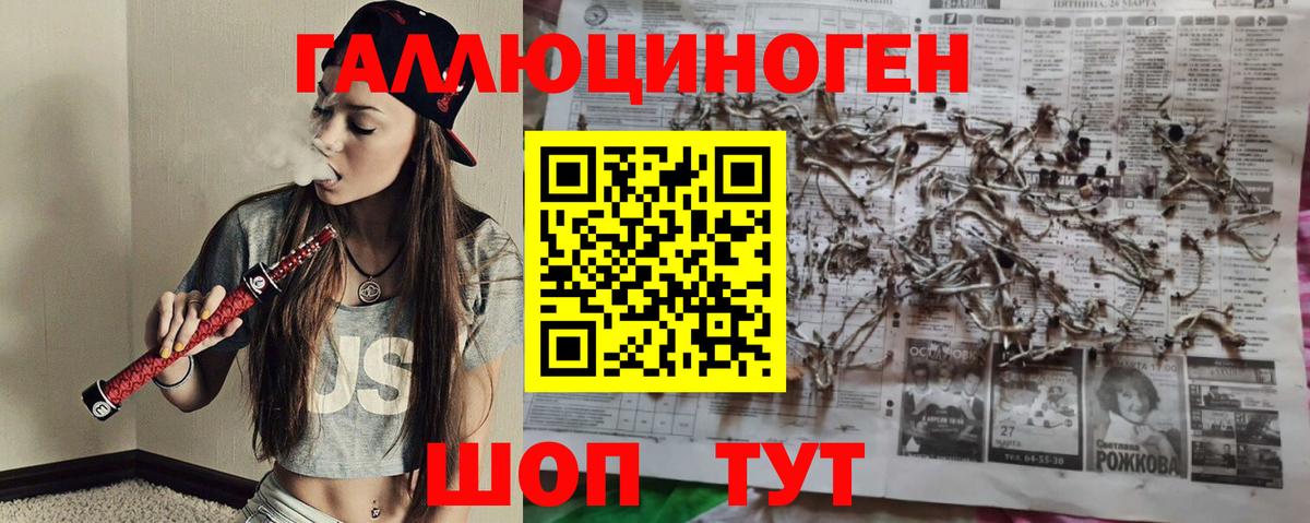 Псилоцибиновые грибы MAGIC MUSHROOMS  хочу наркоту  Рубцовск  Вход с VPN 