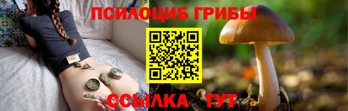 Галлюциногенные грибы Cubensis Рубцовск